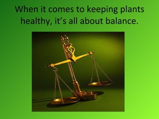 When it comes to keeping plants healthy, it’s all about balance. 