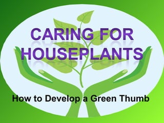 How to Develop a Green Thumb  