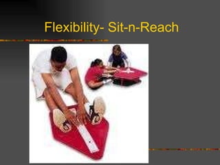 Flexibility- Sit-n-Reach 