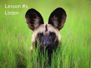 Lesson #1 Listen