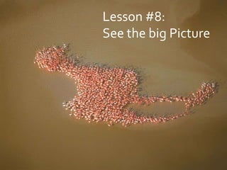 Lesson #8: See the big Picture