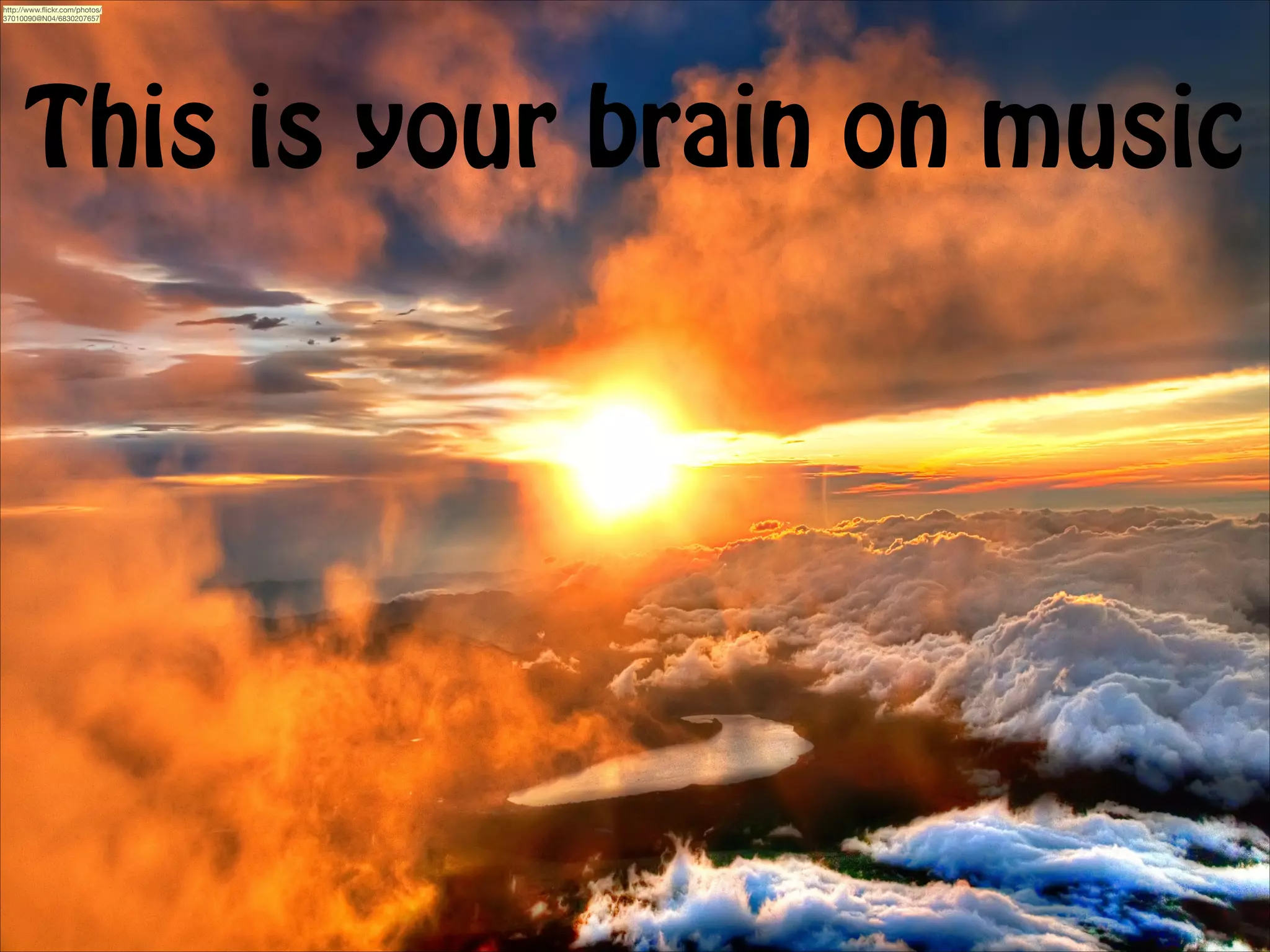 http://www.ﬂickr.com/photos/
37010090@N04/6830207657

This is your brain on music

 