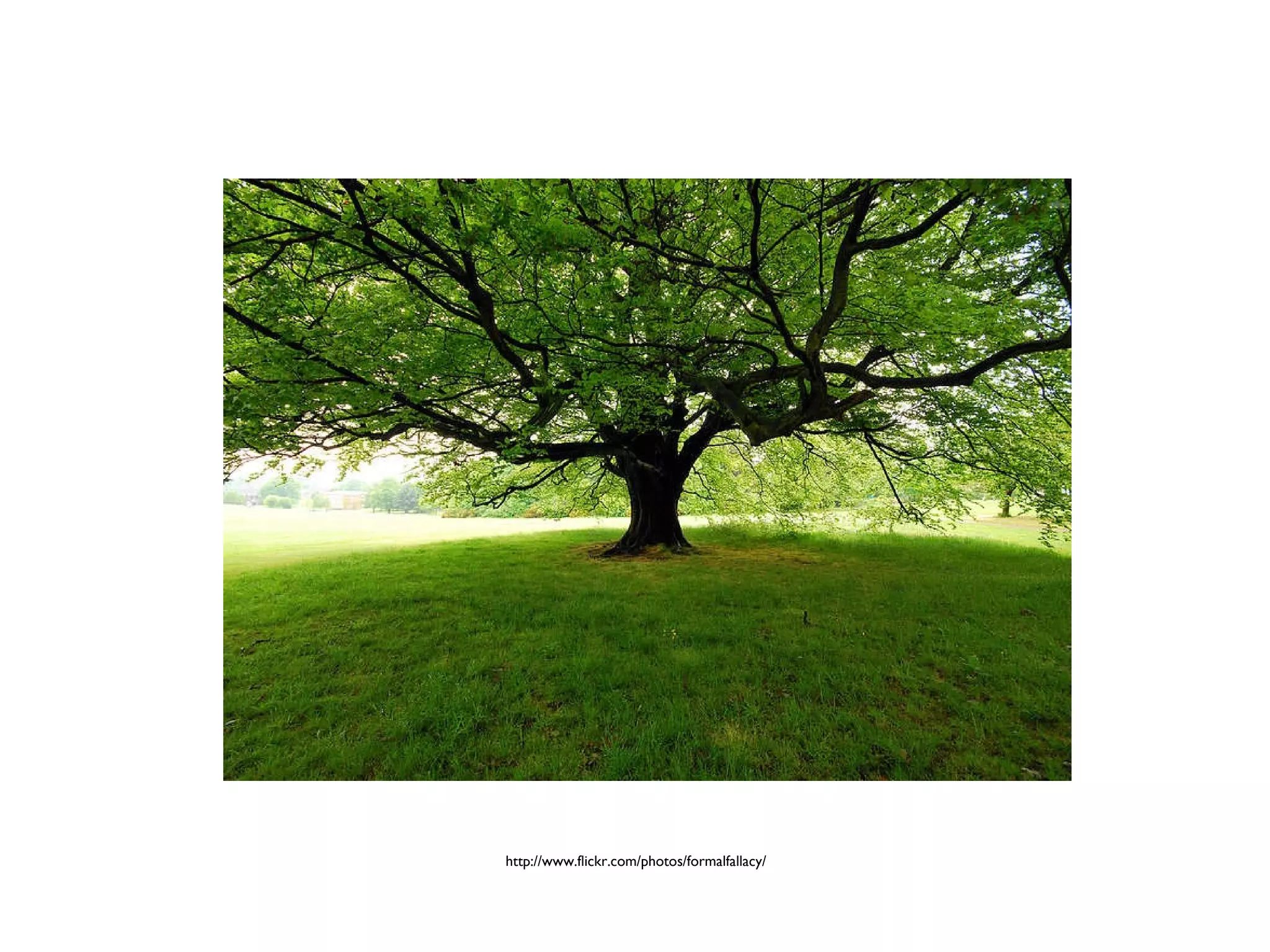 http://www.flickr.com/photos/formalfallacy/
