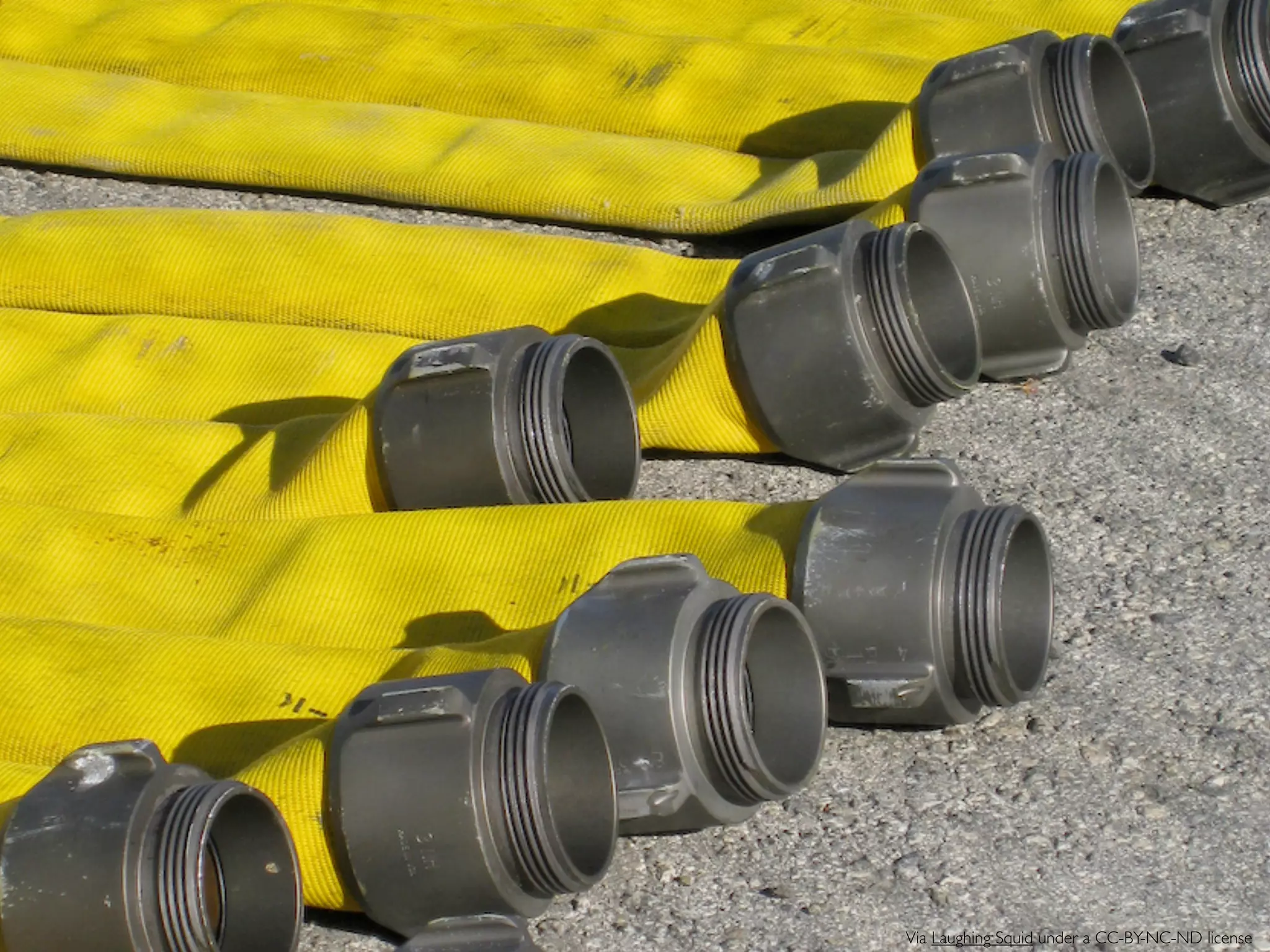 Via Laughing Squid under a CC-BY-NC-ND license
 