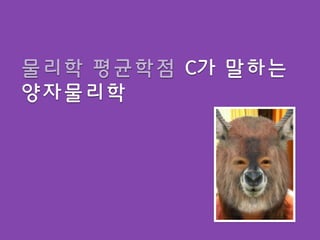 물리학 평균학점 C가 말하는
양자물리학
 