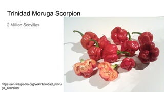 Trinidad Moruga Scorpion
2 Million Scovilles
https://en.wikipedia.org/wiki/Trinidad_moru
ga_scorpion
 