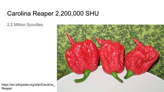 Carolina Reaper 2,200,000 SHU
2.2 Million Scovilles
https://en.wikipedia.org/wiki/Carolina_
Reaper
 
