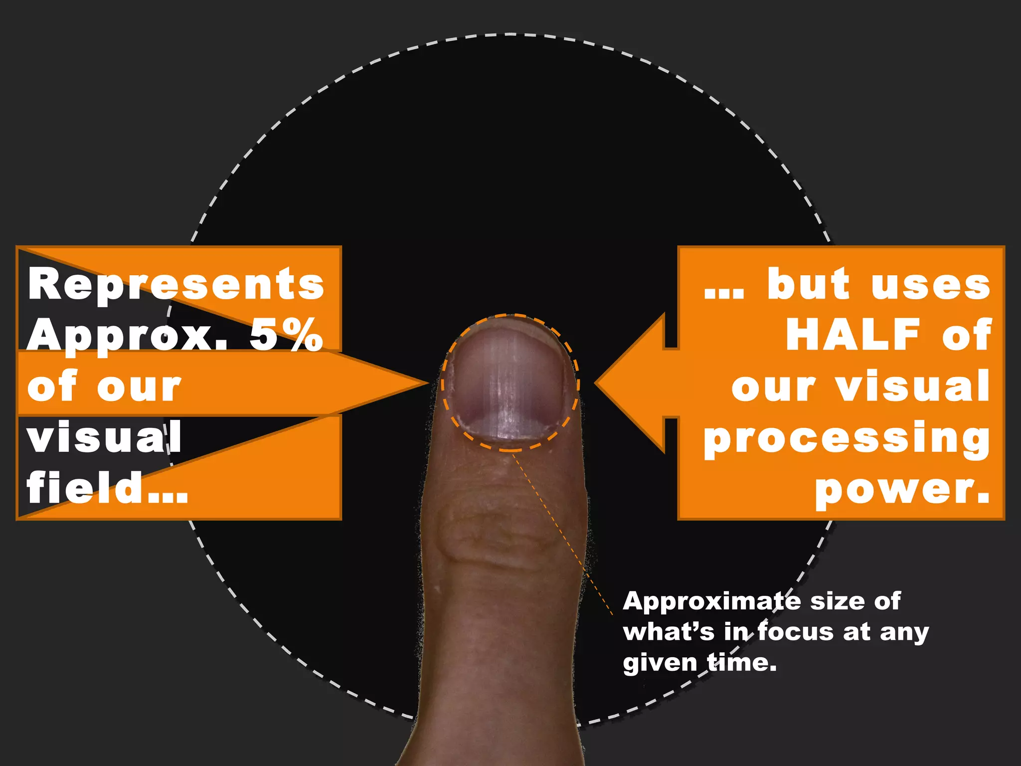 Represents Approx. 5% of our visual field…… but uses HALF of our visual processing power.Approximate size of what’s in focus at any given time.
