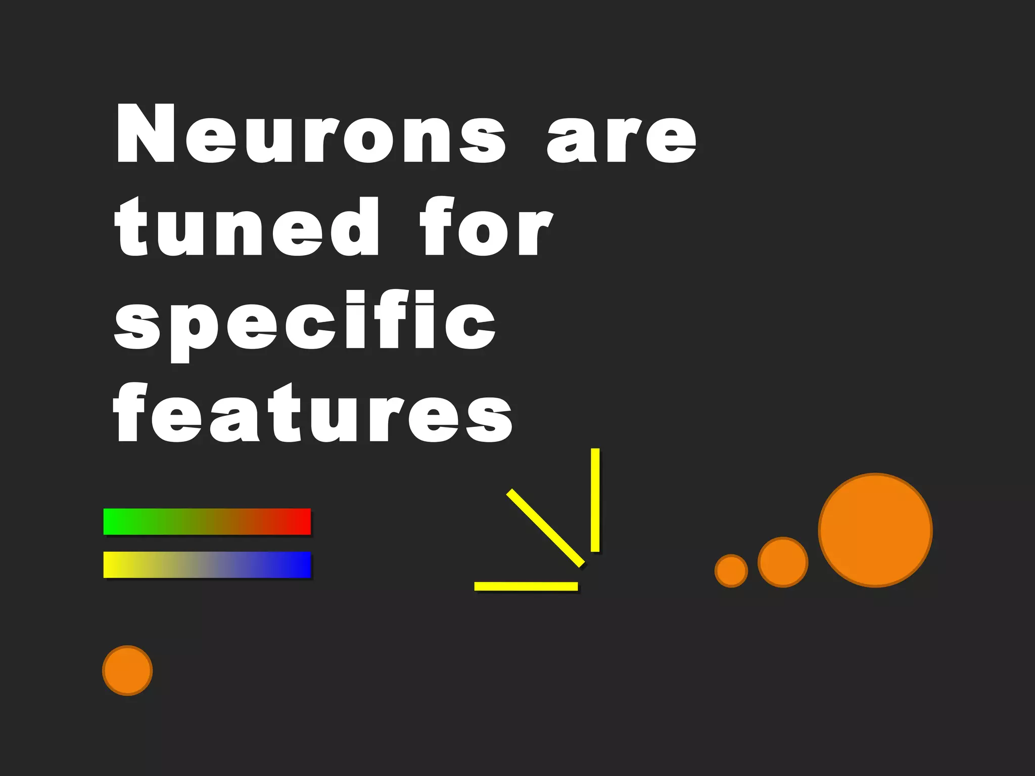 Neurons are tuned for specific features