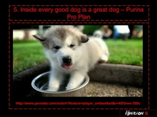 5. Inside every good dog is a great dog – Purina
                    Pro Plan




http://www.youtube.com/watch?feature=player_embedded&v=6D3rwe-386c
 