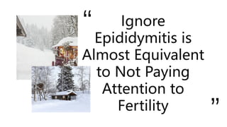 Ignore
Epididymitis is
Almost Equivalent
to Not Paying
Attention to
Fertility
“
“
 