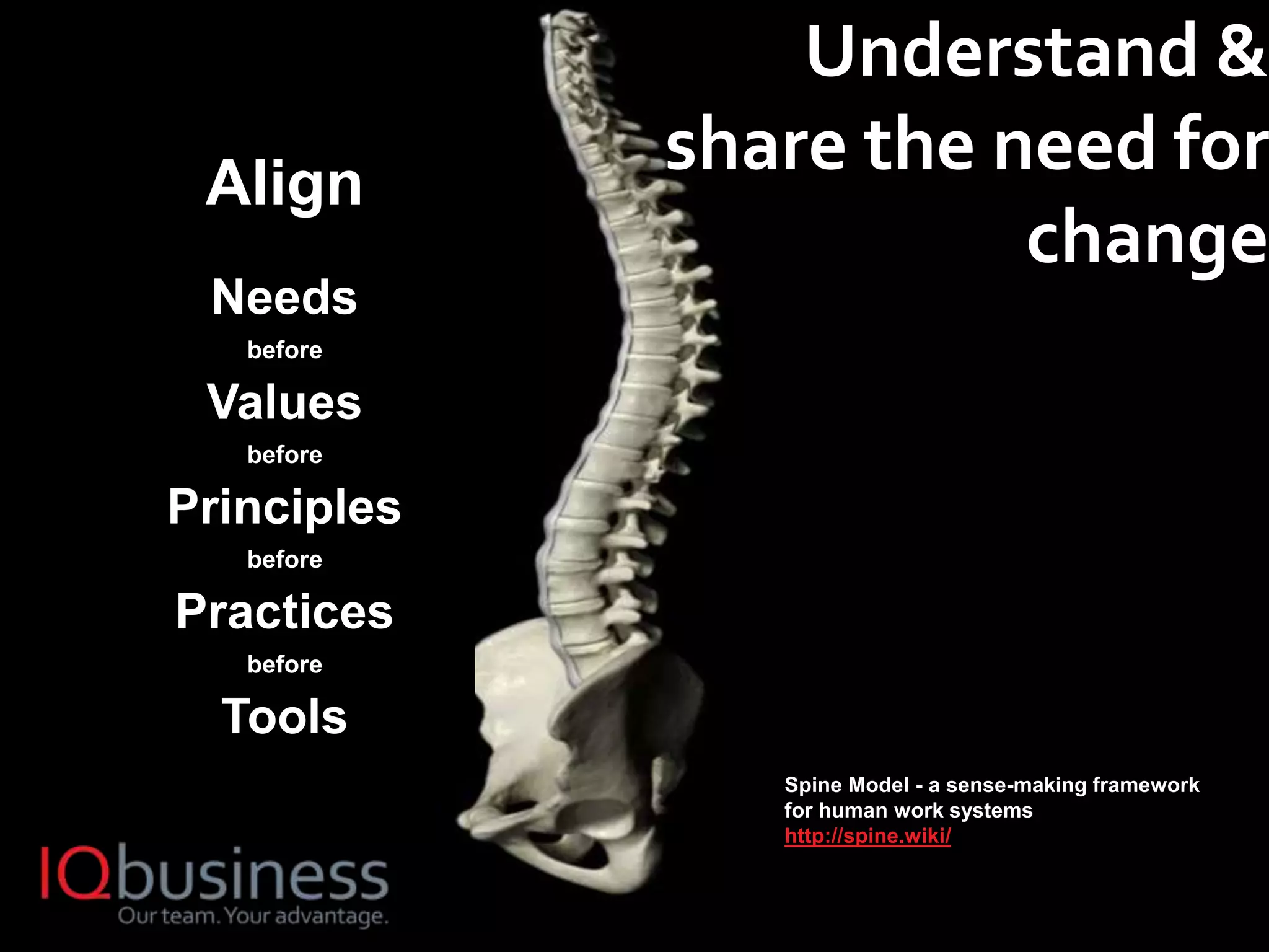12
Understand &
share the need for
change
Spine Model - a sense-making framework
for human work systems
http://spine.wiki/
Align
Needs
before
Values
before
Principles
before
Practices
before
Tools
 