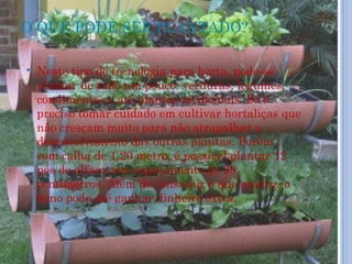 O QUE PODE SER PLANTADO?

   Neste tipo de tecnologia para horta, pode-se
    plantar de tudo um pouco: verduras, legumes,
    condimentos e até plantas medicinais. Só é
    preciso tomar cuidado em cultivar hortaliças que
    não cresçam muito para não atrapalhar o
    desenvolvimento das outras plantas. Porém ,
    com calha de 1,20 metro, é possível plantar 12
    pés de alface com espaçamento de 20
    centímetros. Além de consumir o que produz, o
    dono pode até ganhar dinheiro extra.
 