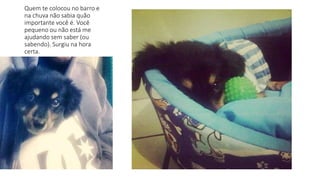 Quem te colocou no barro e 
na chuva não sabia quão 
importante você é. Você 
pequeno ou não está me 
ajudando sem saber (ou 
sabendo). Surgiu na hora 
certa. 
 