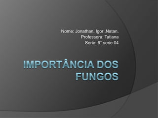 Importância dos fungos Nome: Jonathan, Igor ,Natan.  Professora: Tatiana Serie: 6° serie 04 
