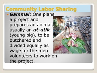 Community Labor Sharing
 Gammal: One plans
a project and
prepares an animal,
usually an ut-utik
(young pig), to be
butchered and
divided equally as
wage for the men
volunteers to work on
the project.
 