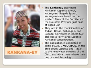 KANKANA-EY
 The Kankanay (Northern
Kankanai, Lepanto Igorot,
Katangnan, Sagada Igorot,
Kataugnan) are found on the
western flank of the Cordillera in
the Mountain Province just east
of Ilocos Sur.
 They are in the municipalities of
Tadian, Besao, Sabangan, and
Sagada. Cervantes in Ilocos Sur
also has a fairly large Lepanto
Kankanai concentration.
 The population is estimated at
some 59,987 (NSO 1990) in the
area about Lepanto and Tiagan
to the headwater streams of the
Chico and Abra rivers where they
practice wet terracing.
 