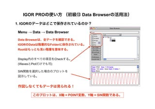 IGORpro_basic_japanese_ver.1.0 | PDF | Programming Languages | Computing