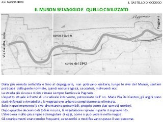 IL MUSON SELVAGGIO E QUELLO CIVILIZZATO
Dalla più remota antichità e fino al dopoguerra, non potevano esistere, lungo le rive del Muson, sentieri
praticabii dalla gente normale, quindi esclusi ragazzi, cacciatori, malviventi ecc.
La strada più sicura e vicina rimase sempre l’antica via Pagnana.
L’aspetto attuale è frutto di un radicale intervento, patrocinato dall’ on. Maria Pia Dal Canton, gli argini sono
stati rinforzati e rimodellati, la vegetazione arborea completamente eliminata.
Solo in quel momento le rive diventarono percorribili, proprio come due comodi sentieri.
Dopo qualche decennio di totale incuria, la vegetazione riprese in parte il sopravvento.
L’alveo era molto più ampio ed irregolare di oggi, come si può vedere nella mappa.
Gli straripamenti erano molto frequenti, catastrofici e modificavano spesso il suo percorso.
corso attuale
corso del 1842
ViaCallalta,Loria
Poggiana
4/4 MASNADIERI IL CASTELLO DI GODEGO
 