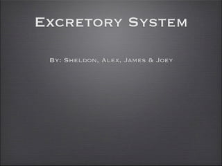 Excretory System

 By: Sheldon, Alex, James & Joey
 