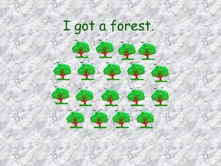 I got a forest.