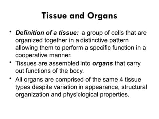 Comprehensive Overview of Animal Tissues and Organ Systems in Human ...
