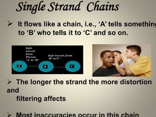 Four Types of Grapevine Chains 