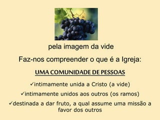 pela imagem da vide
Faz-nos compreender o que é a Igreja:
UMA COMUNIDADE DE PESSOAS
intimamente unida a Cristo (a vide)
intimamente unidos aos outros (os ramos)
destinada a dar fruto, a qual assume uma missão a
favor dos outros
 