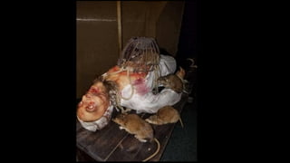 Igreja medieval 2019 pdf