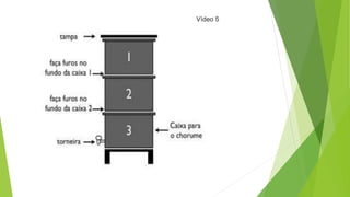 Vídeo 5
 