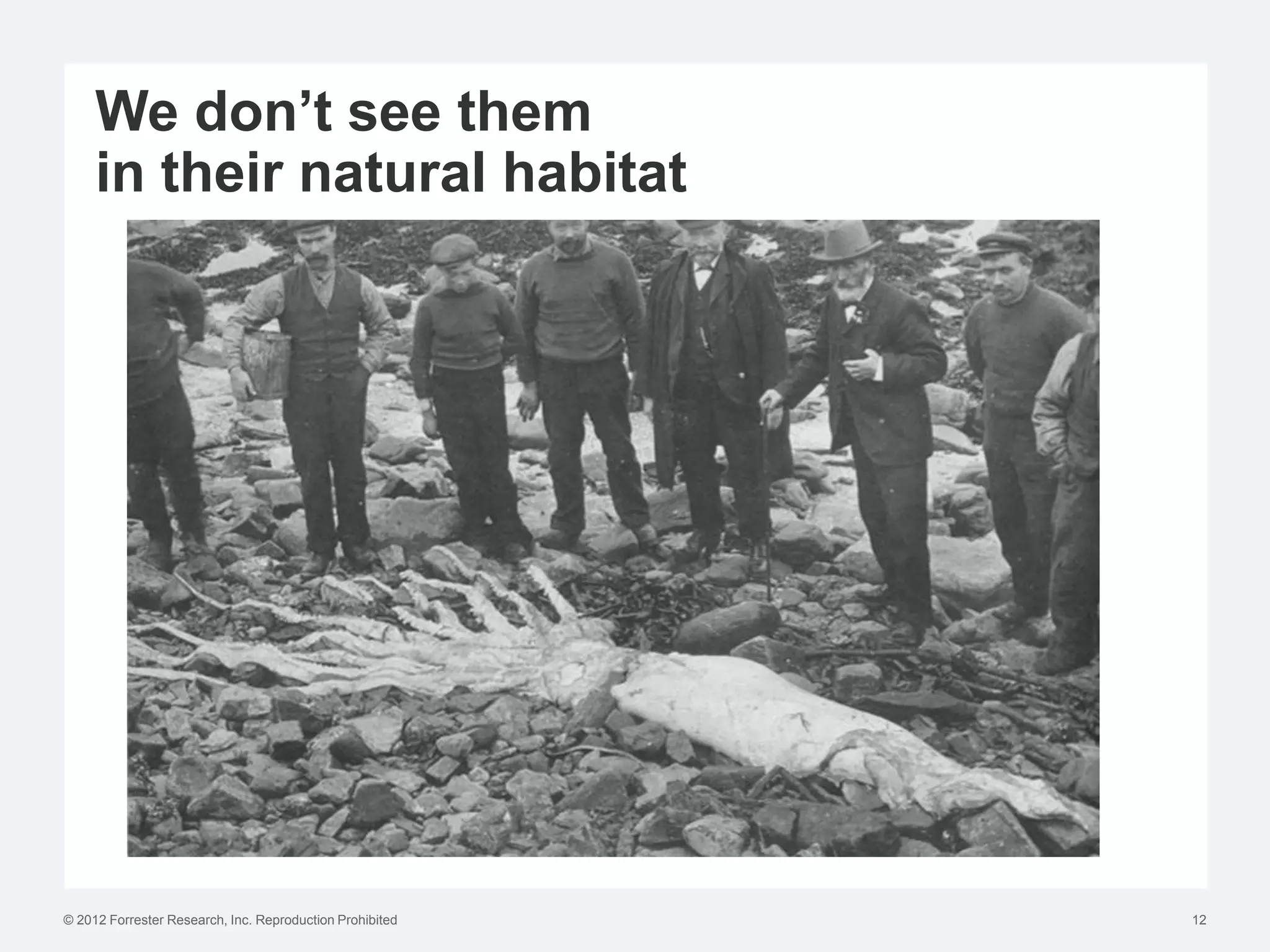 We don’t see them
     in their natural habitat




© 2012 Forrester Research, Inc. Reproduction Prohibited   12
 