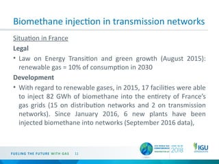 Innovations and Challenges in Integrating Renewable and Synthetic Gases ...