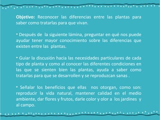 Objetivo: Reconocer las diferencias entre las plantas para
saber como tratarlas para que vivan.
• Después de la siguiente lámina, preguntar en qué nos puede
ayudar tener mayor conocimiento sobre las diferencias que
existen entre las plantas.
• Guiar la discusión hacia las necesidades particulares de cada
tipo de planta y como al conocer las diferentes condiciones en
las que se sienten bien las plantas, ayuda a saber como
tratarlas para que se desarrollen y se reproduzcan sanas .
• Señalar los beneficios que ellas nos otorgan, como son:
reproducir la vida natural, mantener calidad en el medio
ambiente, dar flores y frutos, darle color y olor a los jardines y
al campo.
 