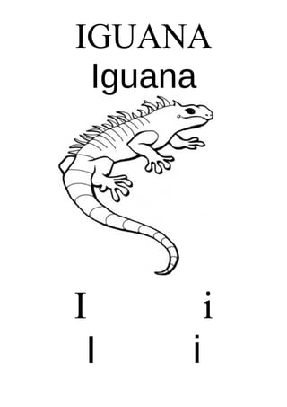 IGUANA
Iguana

I
I

i
i

 