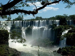 Iguazu