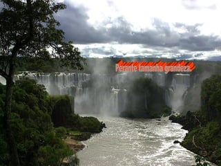 Perante tamanha grandeza. 