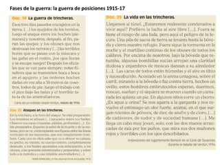 Fases de la guerra: la guerra de posiciones 1915-17
 