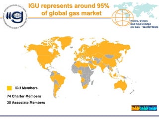Key Elements of an IGU