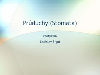 Průduchy (Stomata) Biofyzika Ladislav Šigut 
