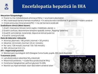 Encefalopatia hepatică în IHA
Mecanism fiziopatologic
Ficatul nu mai metabolizează amoniacul (NH₃) →acumulare plasmatică
NH₃ traversează bariera hemato-encefalică →în astrocite este transformat în glutamină →edem cerebral
Crește presiunea intracraniană (PIC) →risc de herniere cerebrală
Stadializare clinică (West Haven)
1.Grad I: inversarea ritmului somn-veghe, iritabilitate, atenție ↓
2.Grad II: confuzie, dezorientare temporo-spațială, tremor „flapping” (asterixis)
3.Grad III: somnolență, incoerență, răspuns la stimuli puternici
4.Grad IV: comă profundă.
Date de laborator relevante
Amoniac plasmatic: 180 µmol/L (normal: < 50 µmol/L)
Glicemie: 2,8 mmol/L (normal: 3,9–6,1 mmol/L)
Na⁺ seric: 128 mmol/L (normal: 135–145 mmol/L)
INR: 2,8 (normal: 0,9–1,1).
ATI – importanță practică
Monitorizare neurologică: GCS (Glasgow Coma Scale), pupile, EEG dacă disponibil.
Tratament țintit:
Lactuloză (reduce absorbția NH₃ intestinal)
Rifaximină (antibiotic →scade flora productivă de NH₃)
Corectarea hipoglicemiei: perfuzii glucoză 10–20%
Manitol sau hiperventilație: doar dacă edem cerebral sever
 