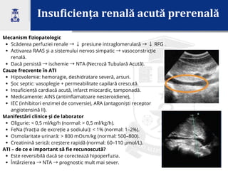 Insuficiența renală acută prerenală
2
Mecanism fiziopatologic
Scăderea perfuziei renale →↓presiune intraglomerulară →↓RFG .
Activarea RAAS și a sistemului nervos simpatic →vasoconstricție
renală.
Dacă persistă →ischemie →NTA (Necroză Tubulară Acută).
Cauze frecvente în ATI
Hipovolemie: hemoragie, deshidratare severă, arsuri.
Șoc septic: vasoplegie + permeabilitate capilară crescută.
Insuficiență cardiacă acută, infarct miocardic, tamponadă.
Medicamente: AINS (antiinflamatoare nesteroidiene),
IEC (inhibitori enzimei de conversie), ARA (antagoniști receptor
angiotensină II).
Manifestări clinice și de laborator
Oligurie: < 0,5 ml/kg/h (normal: > 0,5 ml/kg/h).
FeNa (fracția de excreție a sodiului): < 1% (normal: 1–2%).
Osmolaritate urinară: > 800 mOsm/kg (normal: 500–800).
Creatinină serică: creștere rapidă (normal: 60–110 µmol/L).
ATI – de ce e important să fie recunoscută?
Este reversibilă dacă se corectează hipoperfuzia.
Întârzierea →NTA →prognostic mult mai sever.
 