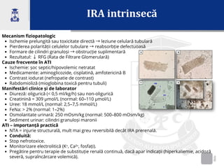 IRA intrinsecă
Mecanism fiziopatologic
Ischemie prelungită sau toxicitate directă →leziune celulară tubulară
Pierderea polarității celulelor tubulare →reabsorbție defectuoasă
Formare de cilindri granuloși →obstrucție suplimentară
Rezultatul: ↓RFG (Rata de Filtrare Glomerulară)
Cauze frecvente în ATI
Ischemie: șoc septic/hipovolemic netratat
Medicamente: aminoglicozide, cisplatină, amfotericină B
Contrast iodurat (nefropatie de contrast)
Rabdomioliză (mioglobina toxică pentru tubuli)
Manifestări clinice și de laborator
Diureză: oligurică (< 0,5 ml/kg/h) sau non-oligurică
Creatinină = 309 µmol/L (normal: 60–110 µmol/L)
Uree: 18 mmol/L (normal: 2,5–7,5 mmol/L)
FeNa: > 2% (normal: 1–2%)
Osmolaritate urinară: 250 mOsm/kg (normal: 500–800 mOsm/kg)
Sediment urinar: cilindri granuloși maronii
ATI – importanță practică
NTA = injurie structurală, mult mai greu reversibilă decât IRA prerenală.
Conduită:
Stop nefrotoxice.
Monitorizare electrolitică (K⁺, Ca²⁺, fosfați).
Pregătire pentru terapie de substituție renală continuă, dacă apar indicații (hiperkaliemie, acidoză
severă, supraîncărcare volemică).
 