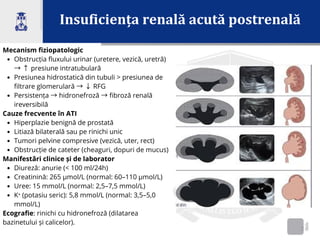 Insuficiența renală acută postrenală
2
Mecanism fiziopatologic
Obstrucția fluxului urinar (uretere, vezică, uretră)
→↑presiune intratubulară
Presiunea hidrostatică din tubuli > presiunea de
filtrare glomerulară →↓RFG
Persistența →hidronefroză →fibroză renală
ireversibilă
Cauze frecvente în ATI
Hiperplazie benignă de prostată
Litiază bilaterală sau pe rinichi unic
Tumori pelvine compresive (vezică, uter, rect)
Obstrucție de cateter (cheaguri, dopuri de mucus)
Manifestări clinice și de laborator
Diureză: anurie (< 100 ml/24h)
Creatinină: 265 µmol/L (normal: 60–110 µmol/L)
Uree: 15 mmol/L (normal: 2,5–7,5 mmol/L)
K⁺ (potasiu seric): 5,8 mmol/L (normal: 3,5–5,0
mmol/L)
Ecografie: rinichi cu hidronefroză (dilatarea
bazinetului și calicelor).
 