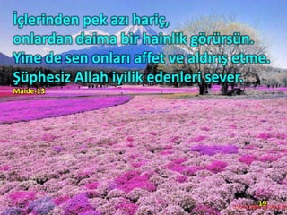 İçlerinden pek azı hariç,
onlardan daima bir hainlik görürsün.
Yine de sen onları affet ve aldırış etme.
Şüphesiz Allah iyilik edenleri sever.
Maide-13
19
 