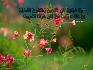 “
Nisa-107
35
 