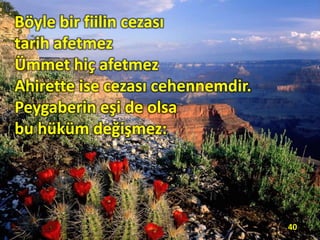 Böyle bir fiilin cezası
tarih afetmez
Ümmet hiç afetmez
Ahirette ise cezası cehennemdir.
Peygaberin eşi de olsa
bu hüküm değişmez:
40
 