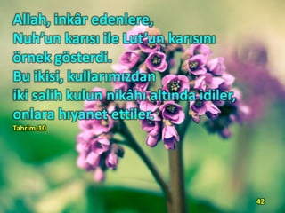 Allah, inkâr edenlere,
Nuh’un karısı ile Lut’un karısını
örnek gösterdi.
Bu ikisi, kullarımızdan
iki salih kulun nikâhı altında idiler,
onlara hıyanet ettiler.
Tahrim-10
42
 
