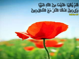 Tahrim-10
43
 