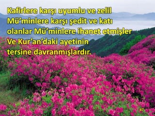 Kafirlere karşı uyumlu ve zelil
Mü’minlere karşı şedit ve katı
olanlar Mü’minlere ihanet etmişler
Ve Kur’an’daki ayetinin
tersine davranmışlardır.
47
 
