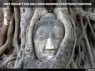 Photo by Vincent Huang - http://www.flickr.com/photos/s_y_s/5404140047/
 